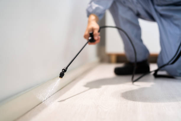 Licensed Pest Control service in Nanuet, NY - Show Me Pest Control